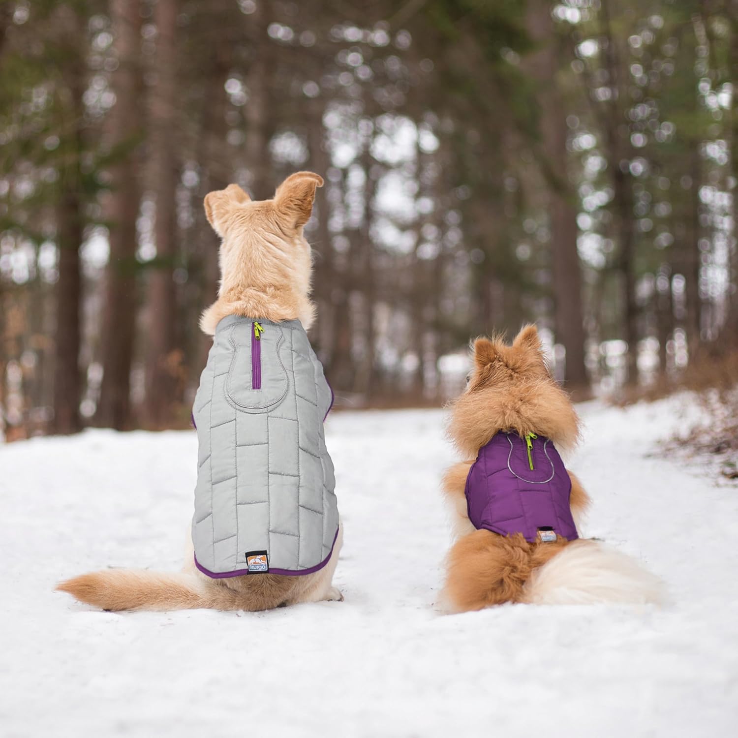Thumbnail 6 de Kurgo Loft Hundejacke – Wasserdicht, reflektierend und mit Hundegeschirr kombinierbar (Größe XL, Grau/Lila)