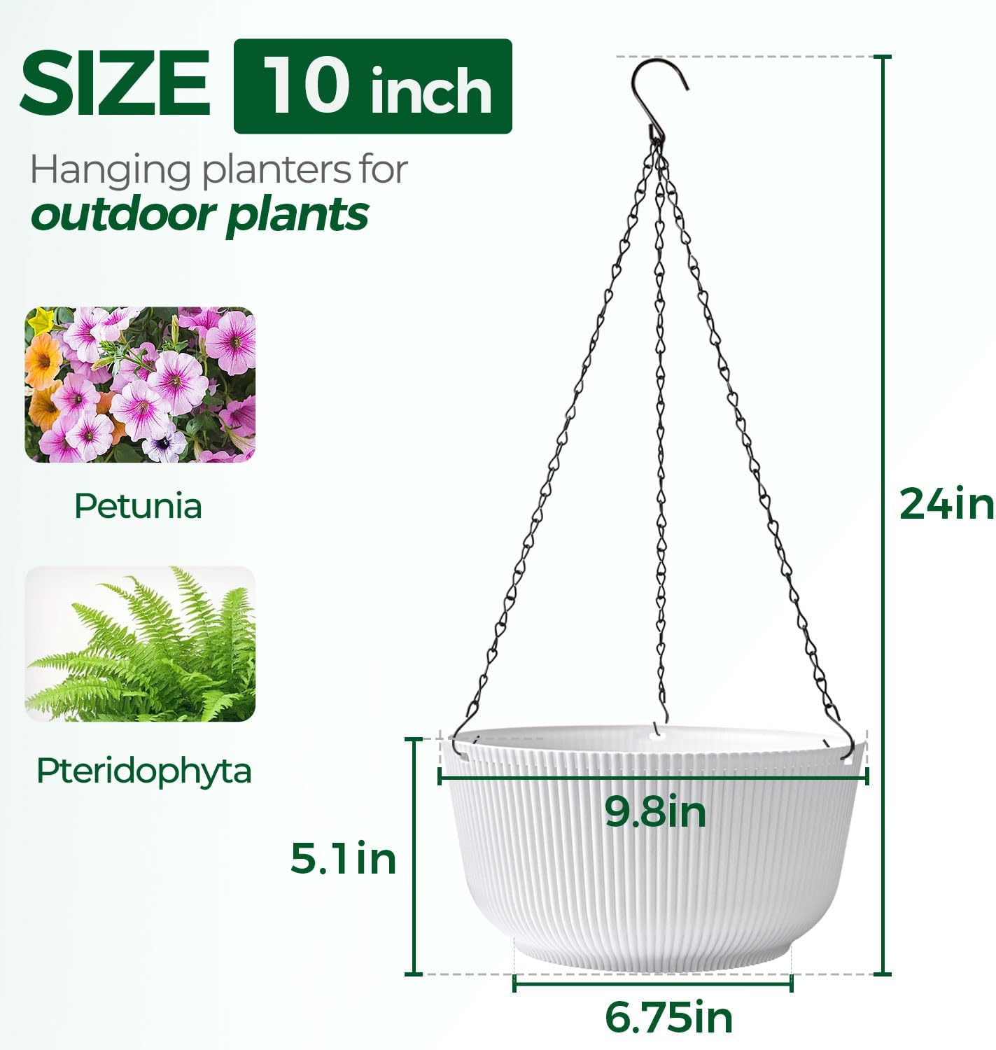 Detalle 2 de T4U Blumenampel 25 cm 2er Set