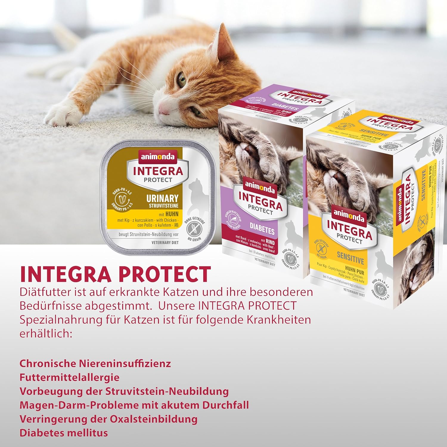 Detalle de animonda INTEGRA PROTECT Sensitive Pute Pur – Nassfutter für Katzen mit Futtermittelunverträglichkeit (16 x 100 g)