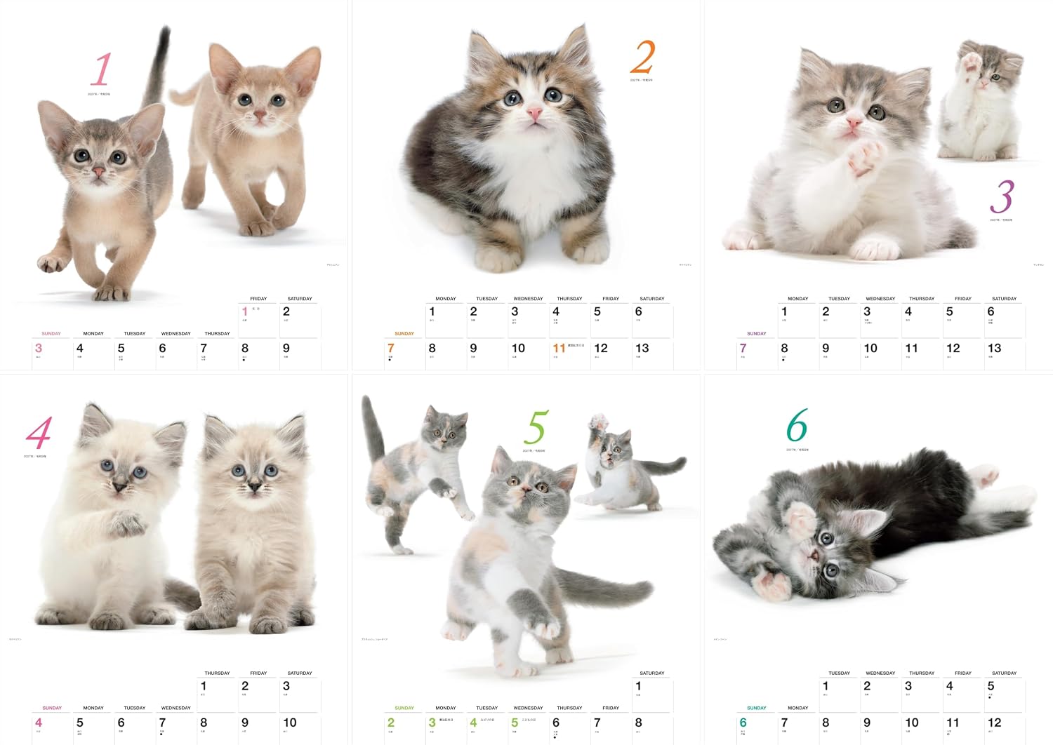 Detalle 2 de ヤマケイカレンダー2027 ほのぼの子ねこ 壁掛け月めくりカレンダー