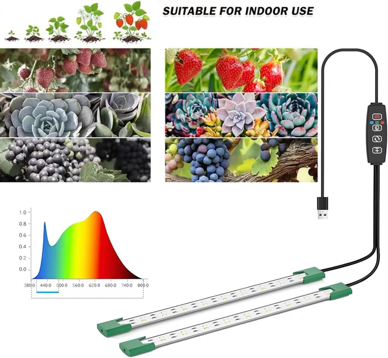 Detalle 2 de KYUQY sm40leds LED Grow Light, 40 LEDs, four intensity levels and timer