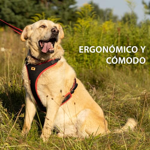 Thumbnail 2 de Ferplast Arnés ERGOCOMFORT Extra Large, acolchado 🐕