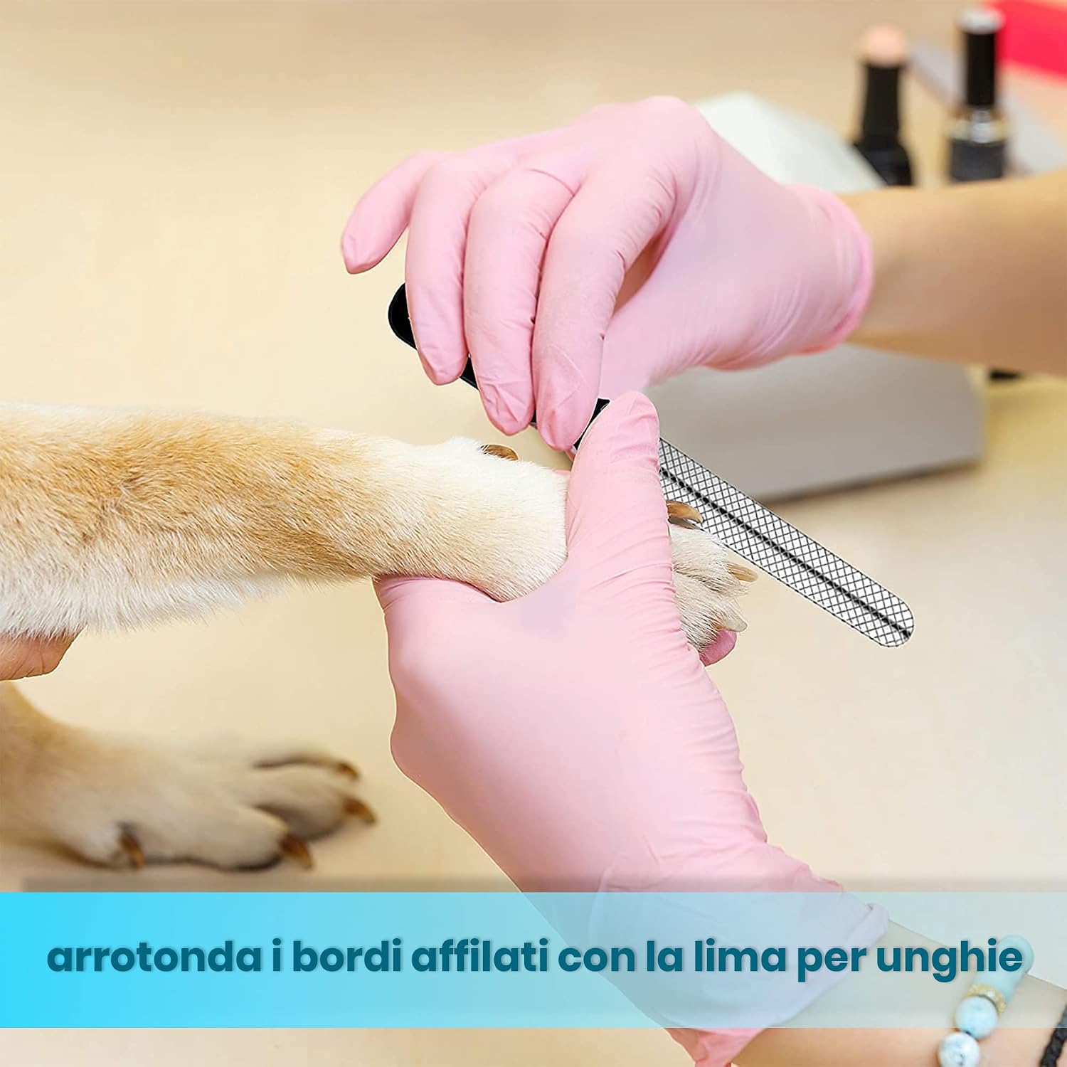 Detalle de Candure Tagliaunghie Cane e Gatto con Guardia in Acciaio Inossidabile — Pro e Contro