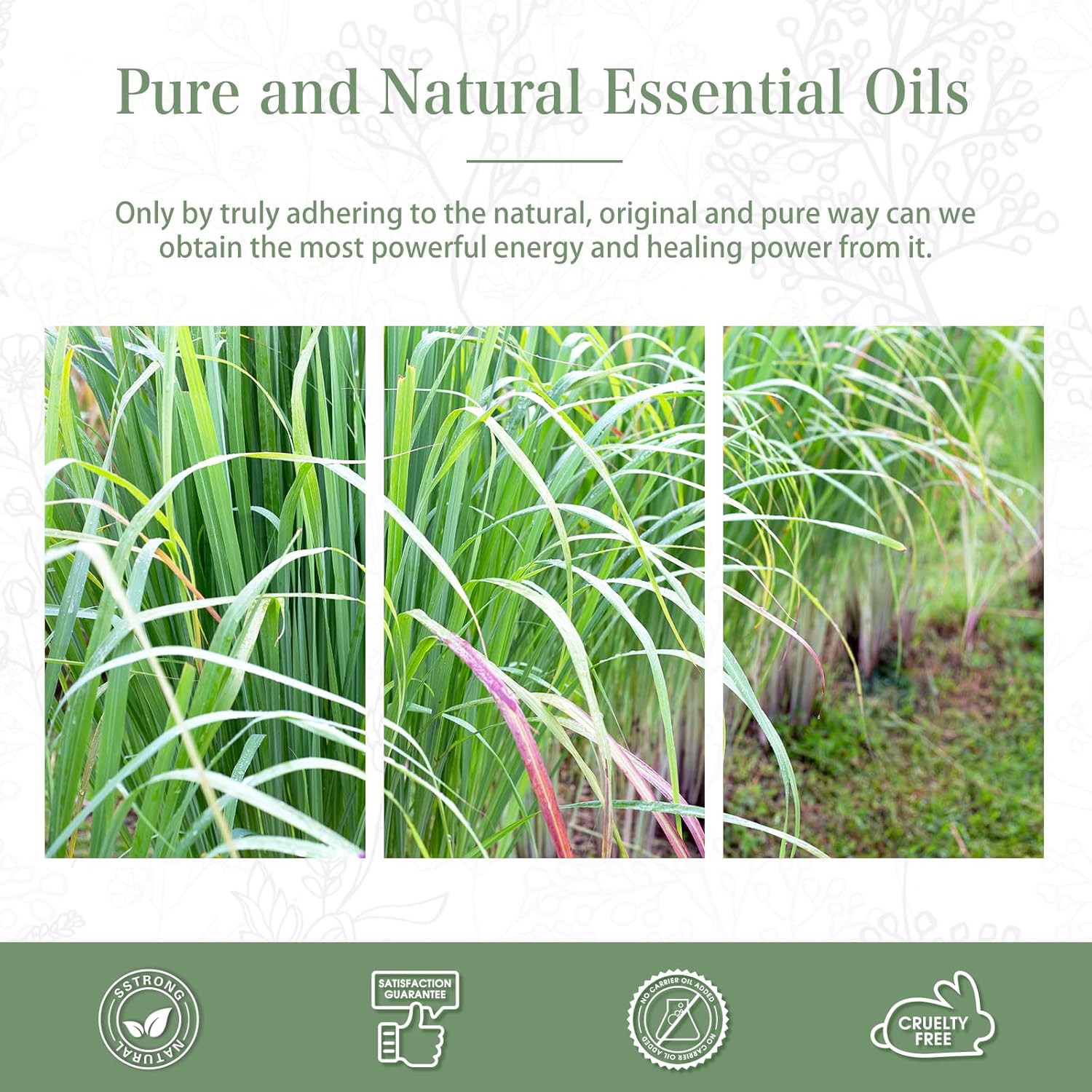 Detalle de PHATOIL Lemongrass Essential Oil 100 ml for aromatherapy 🕯