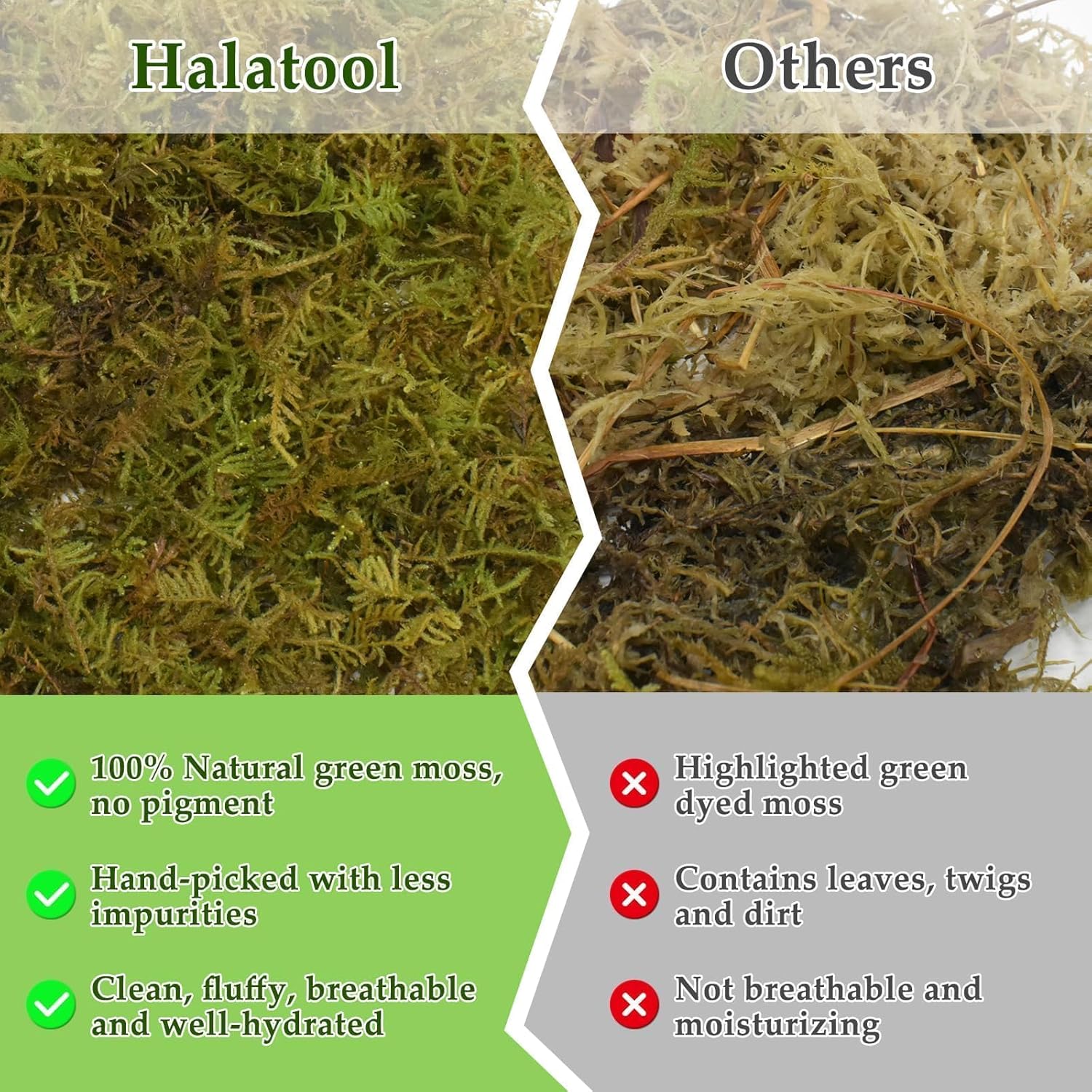 Thumbnail 4 de Halatool Sphagnum Moos 260 g für Terrarien