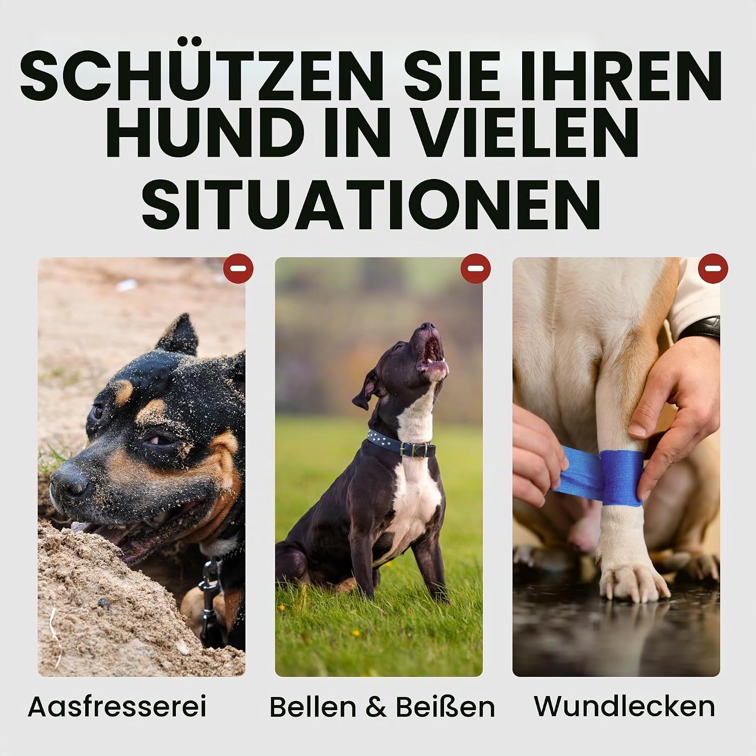 Detalle de BRONZEDOG Drahtkorb Maulkorb aus Leder und Edelstahl – Größe 5 (Belgian Malinois & Golden Retriever)