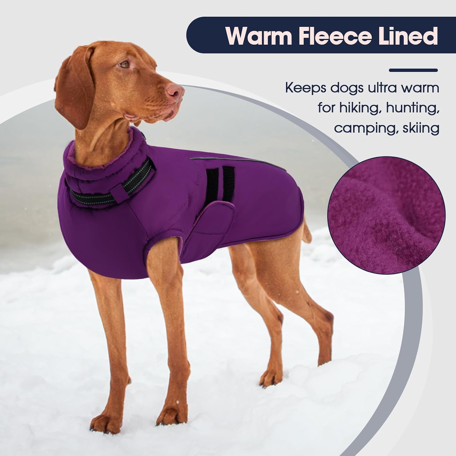 Detalle de IECOii Waterproof Dog Coat, L