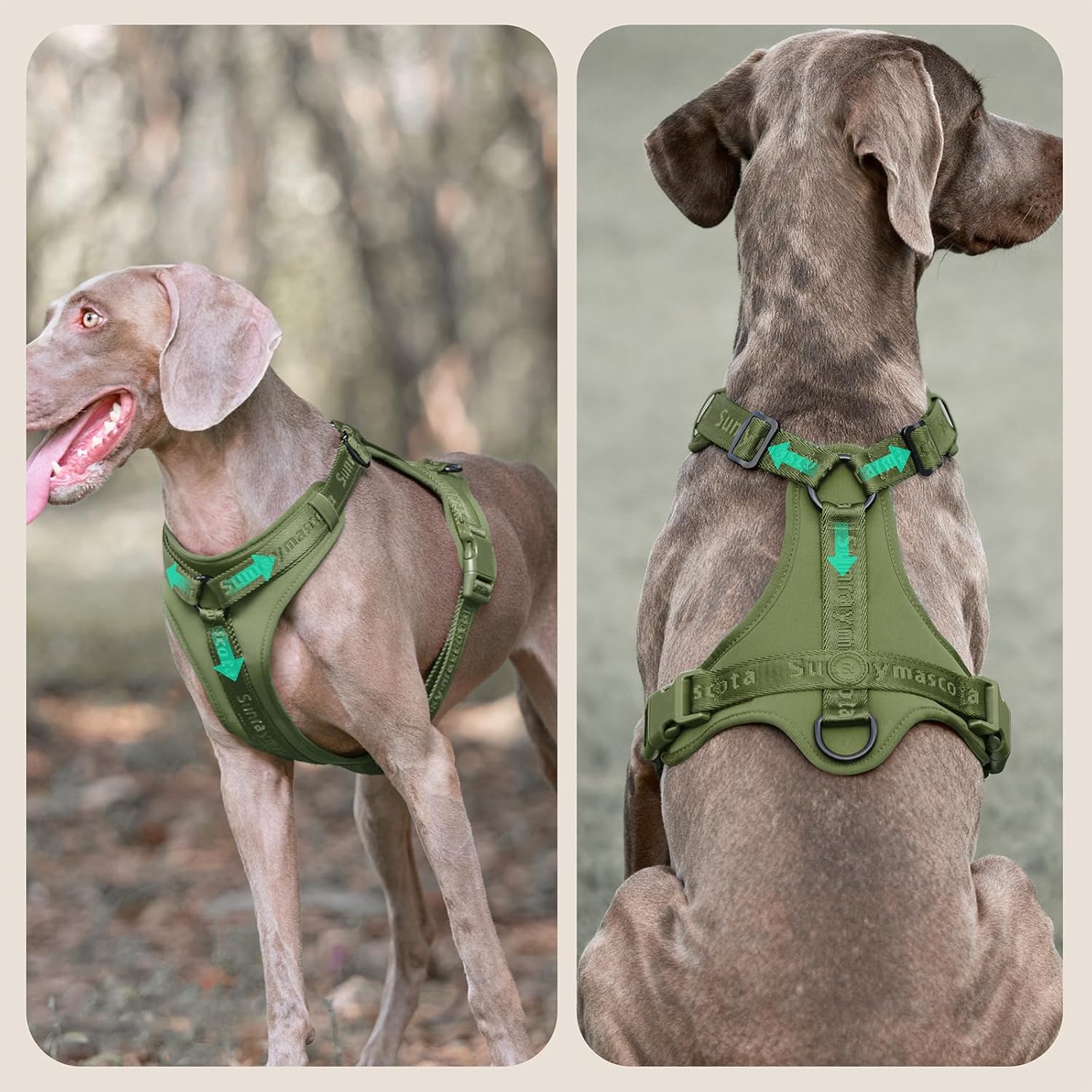 Detalle de Sunraymascota Hundegeschirr mit weicher Lycra-Polsterung – atmungsaktiv, verstellbar, für alle Rassen