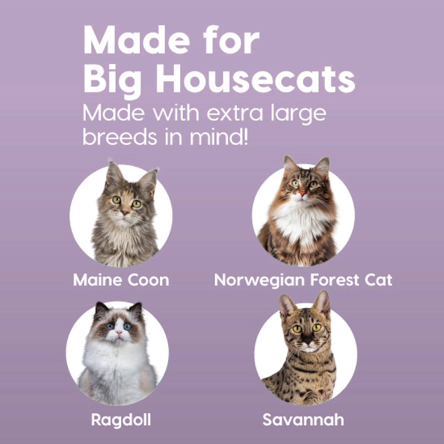 Thumbnail 3 de Iris Ohyama Lettiera per gatti XL extra large grigia con lati alti rimovibili, a prova di perdite