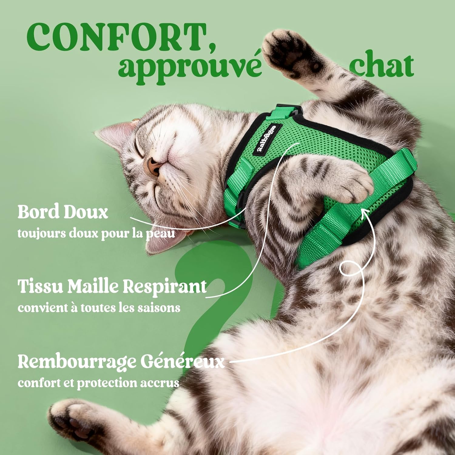 Detalle 2 de rabbitgoo Harnais chat anti-évasion avec laisse et gilet réfléchissant, réglable XS (vert herbe)
