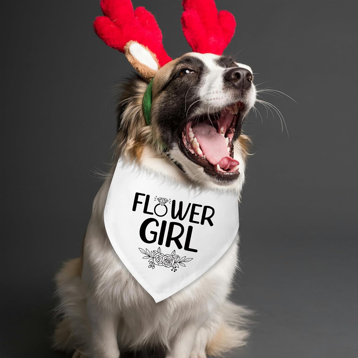 Detalle de Dog Wedding Bandana with Flower Girl Phrase