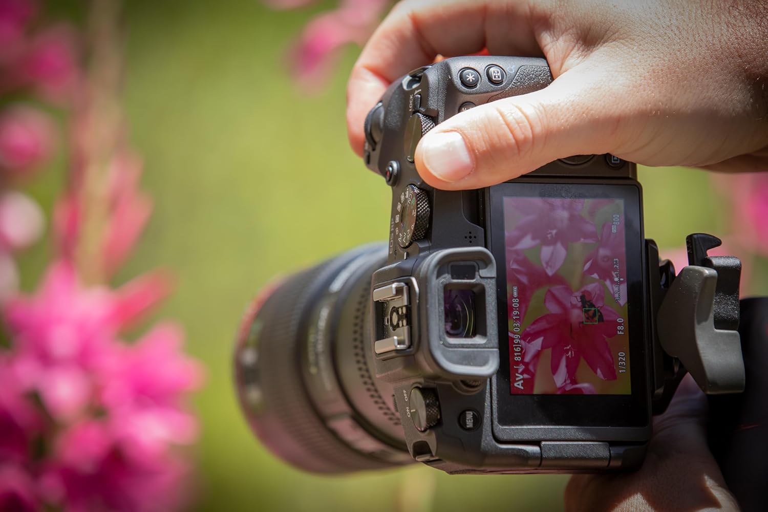 Thumbnail 5 de Canon EOS RP 26.2MP full-frame mirrorless camera