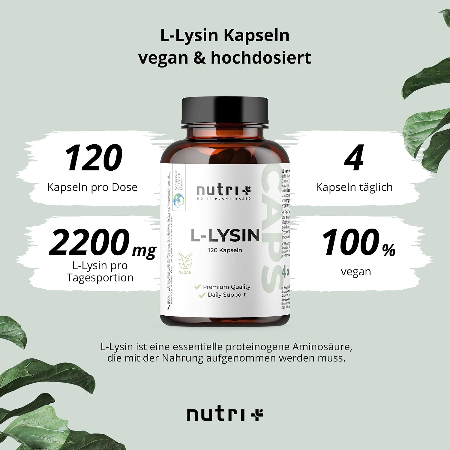 Thumbnail 1 de Nutri+ L-Lysin Kapseln hochdosiert + vegan – 120 Kapseln, 550 mg je Kapsel (2200 mg Tagesdosis)