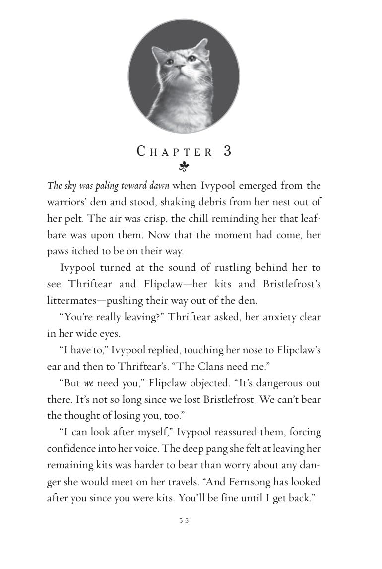 Detalle 1 de HarperCollins Warriors Super Edition: Ivypool's Heart: 17 – kinderboek van 400 pagina's