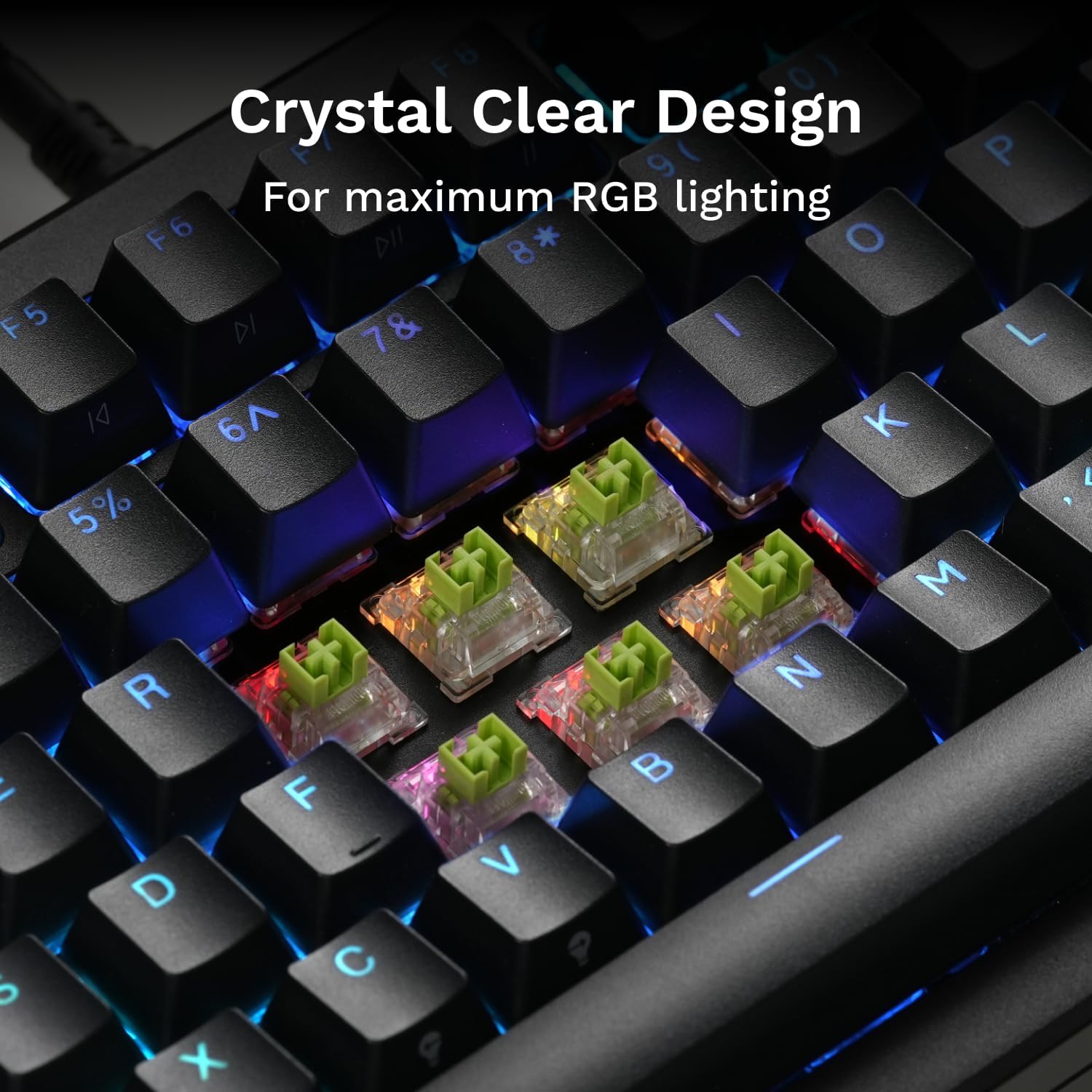 Detalle de Glorious Raptor Clicky Magnetic Switches for GMMK 3 HE, 36-Pack, Pre-Lubed