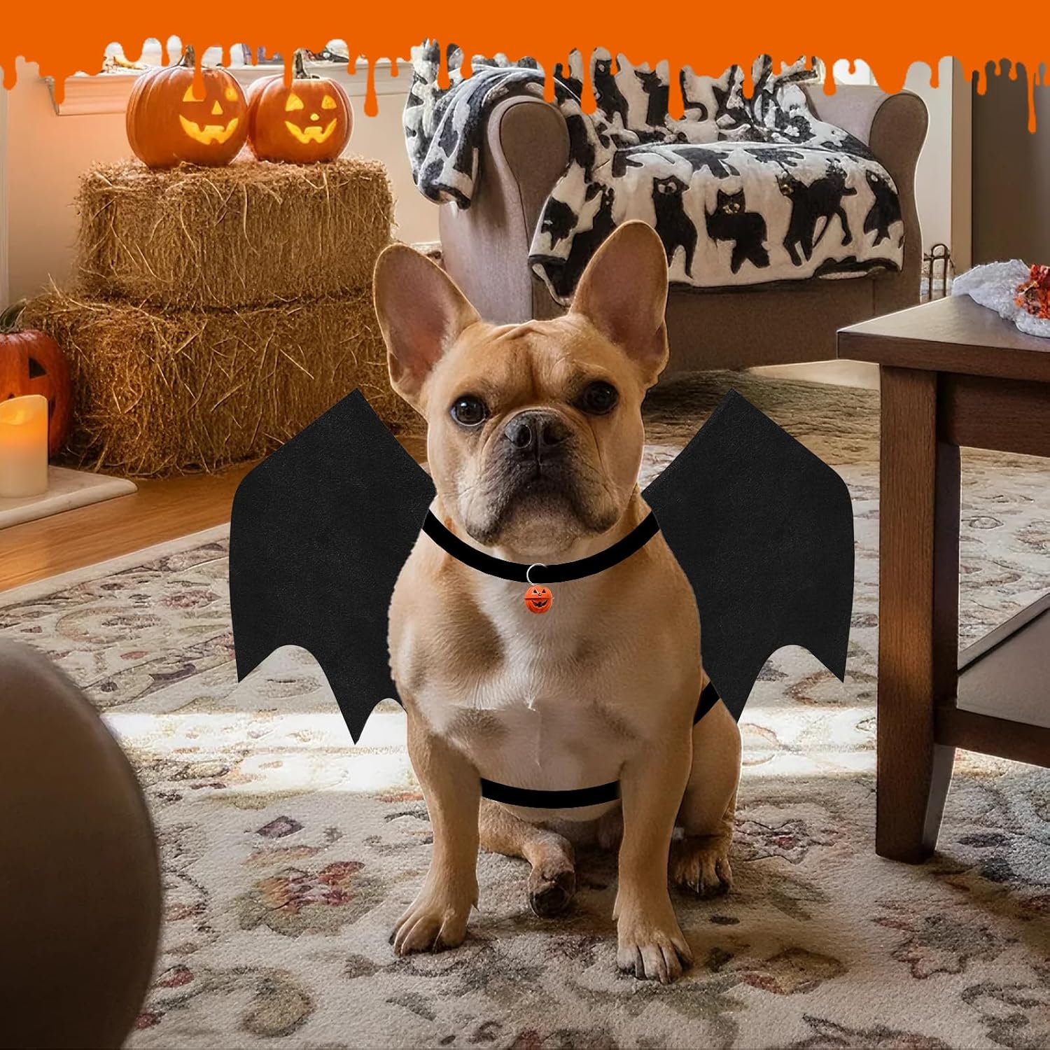 Thumbnail 6 de OLANRUN OL-Halloween-Dog Small Dog Bat Costume with Skeleton Print and Pumpkin Bell