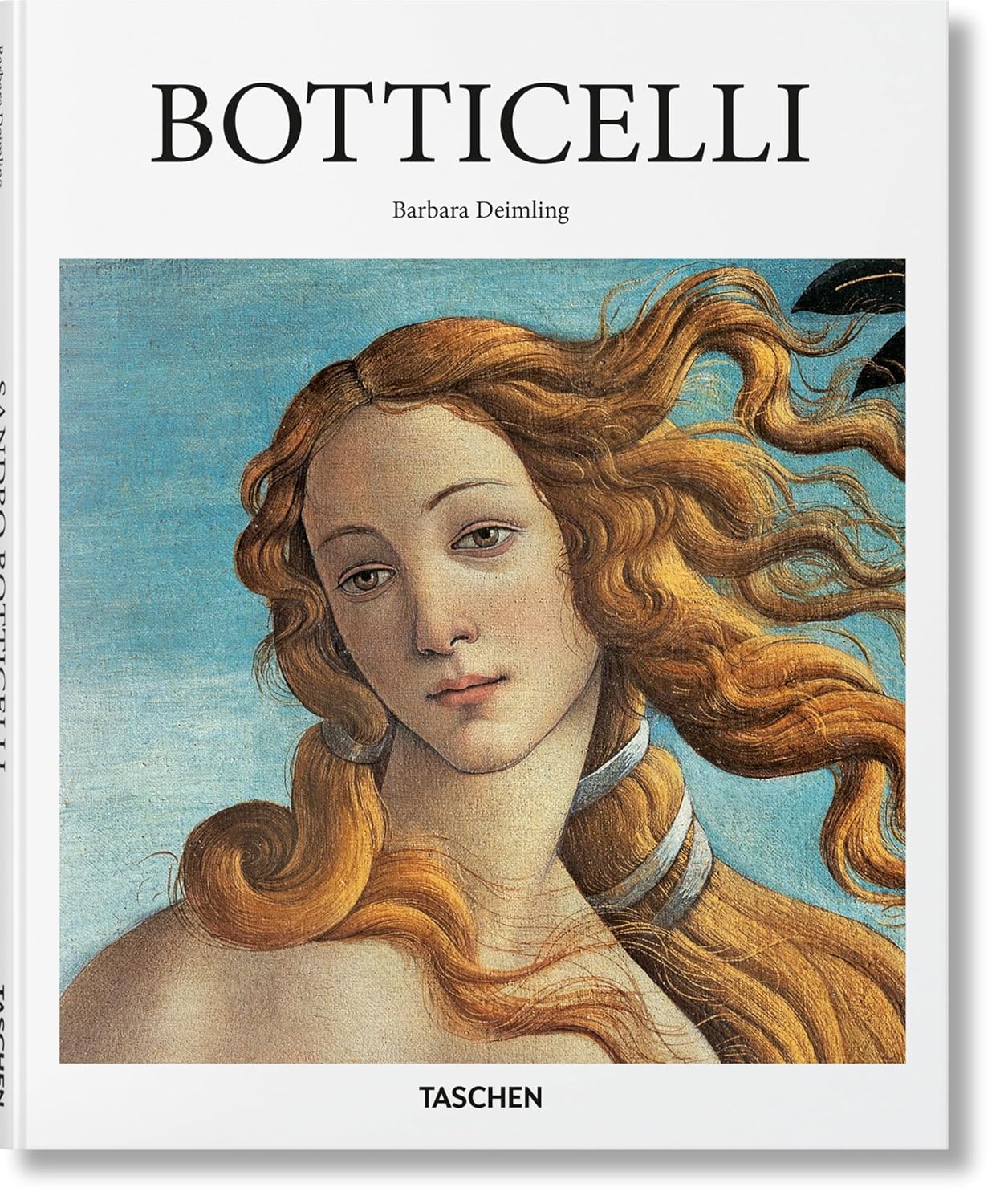 Detalle de Botticelli: The Evocative Quality of Line – książka o sztuce i kresce