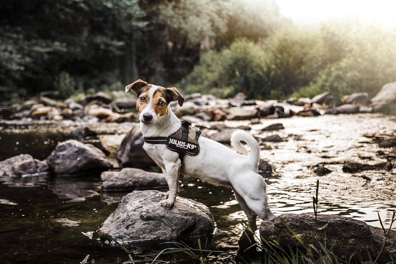 Detalle de Pettorina K9 Julius-K9 S/Mini Camouflage: comfort, sicurezza e stile per cani 7–15 kg