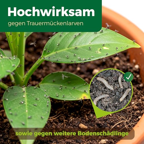 Detalle de PROTECT GARDEN Lizetan Trauermückenfrei, 30 ml Konzentrat mit Neemöl