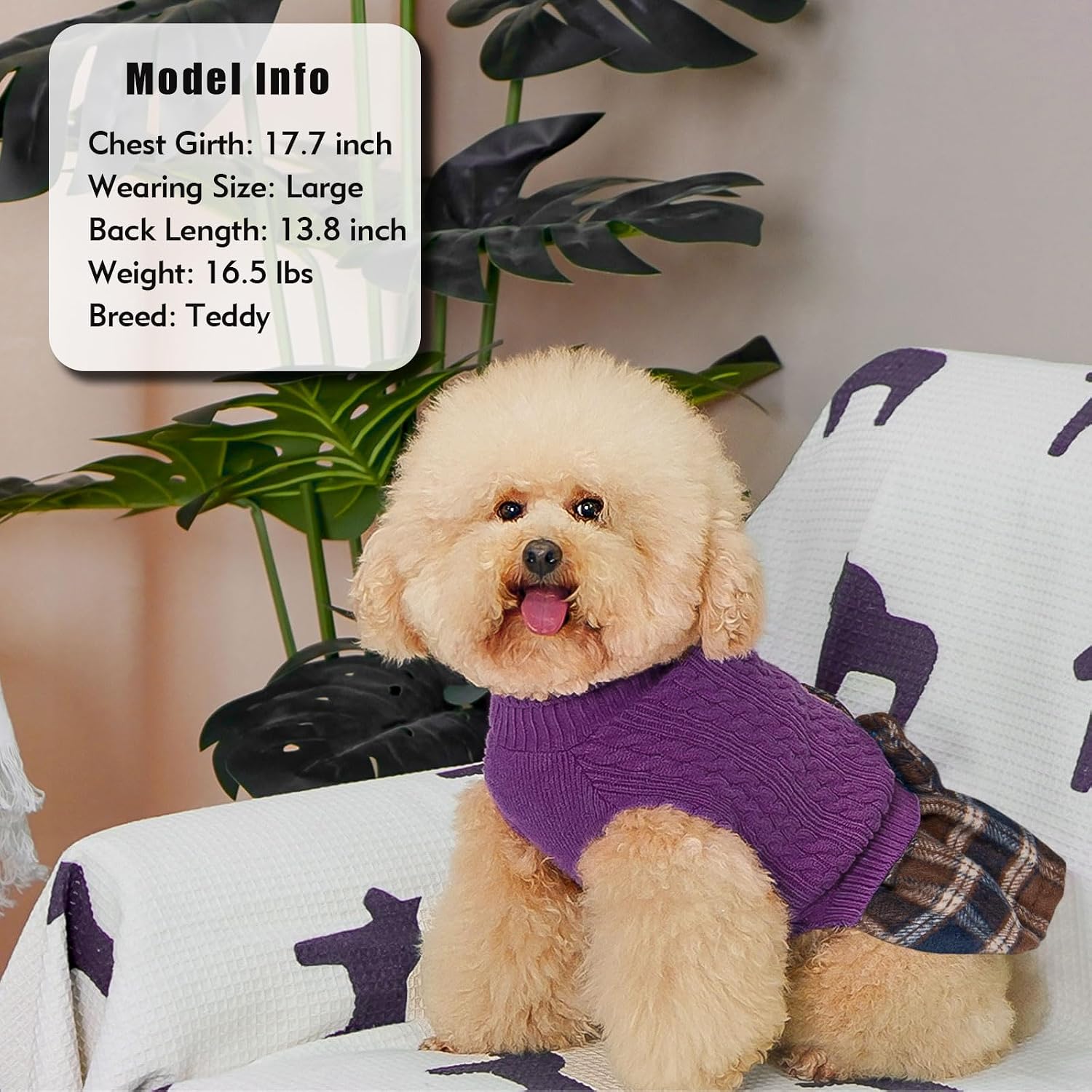 Thumbnail 6 de KYEESE Dog Sweater Dress Acrylic Knit