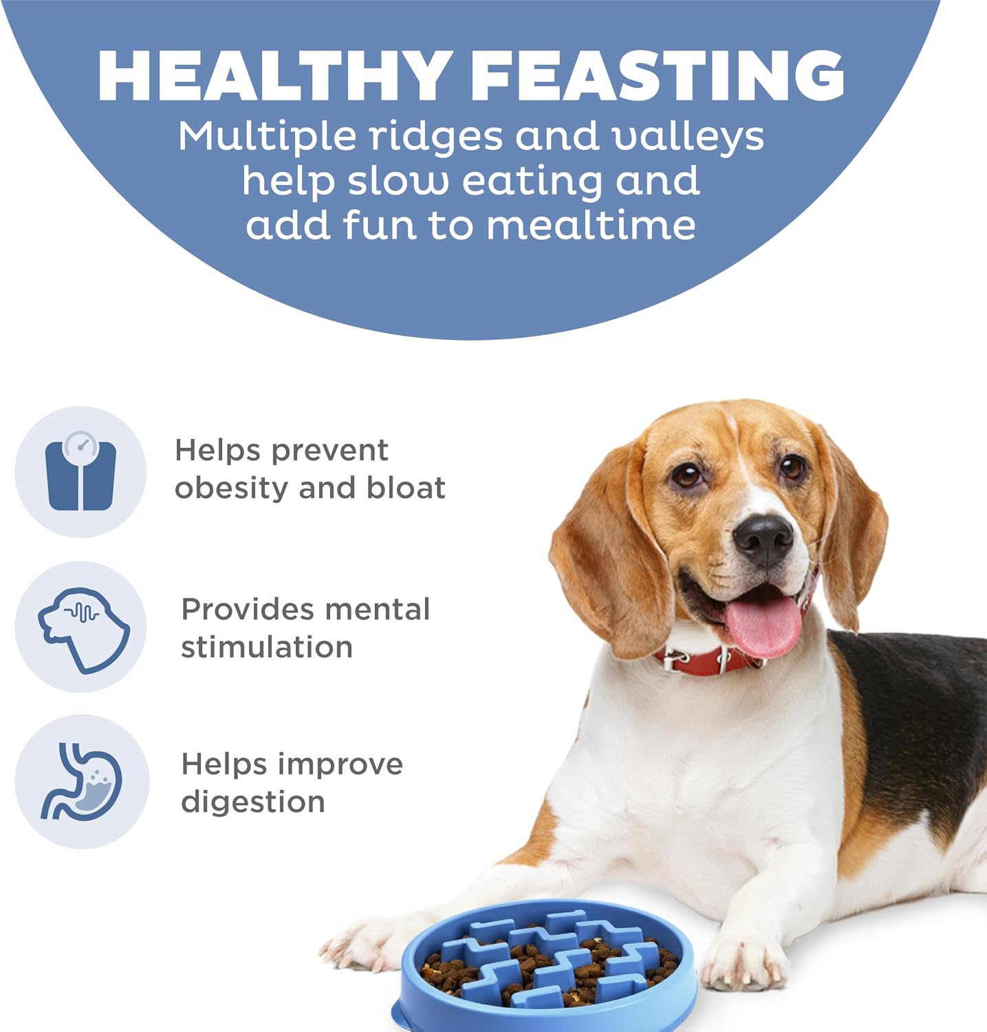 Thumbnail 1 de Outward Hound Slow Feeder Bowl Medium