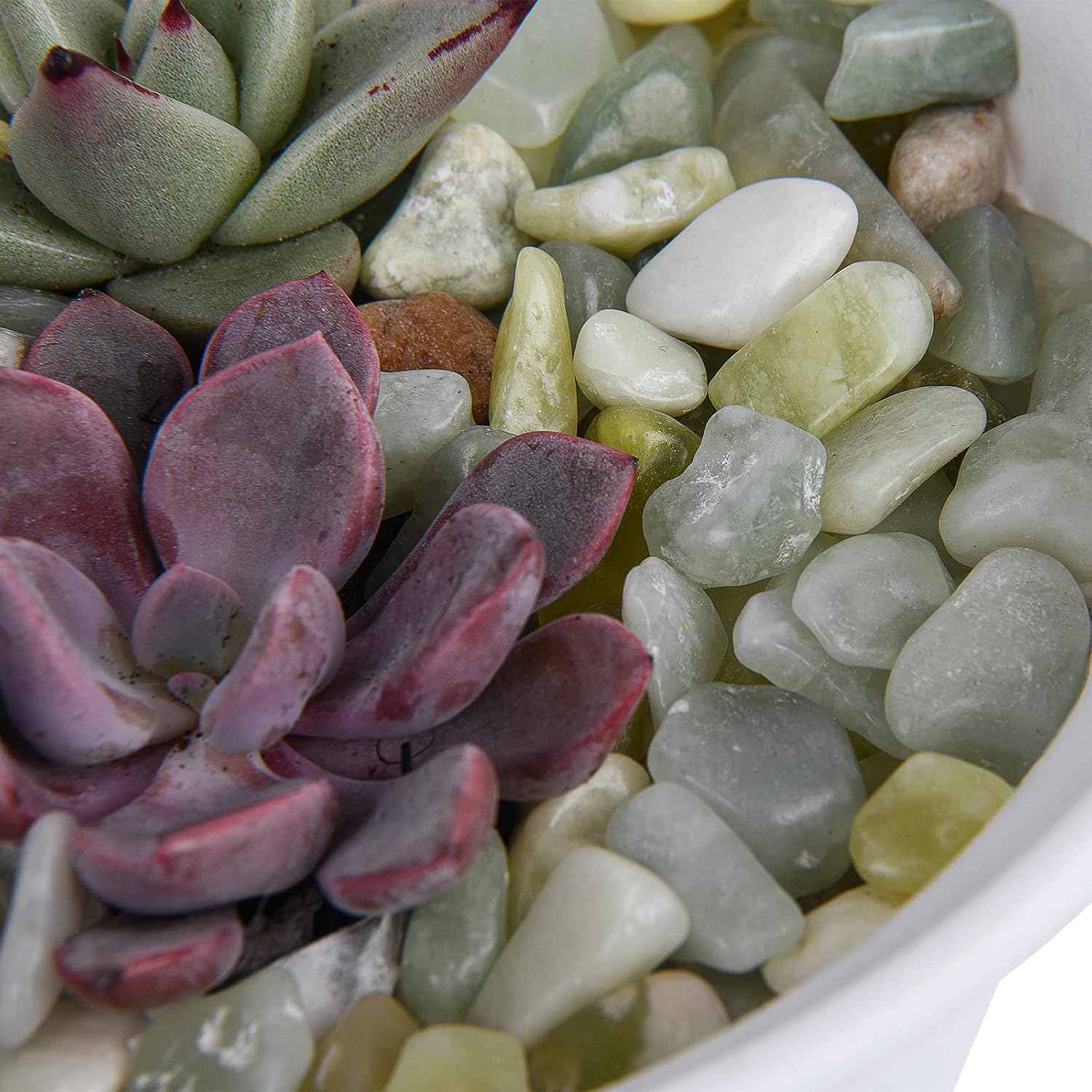 Detalle de Hisredsun 10.5 lb Decorative Stones 4.8 kg