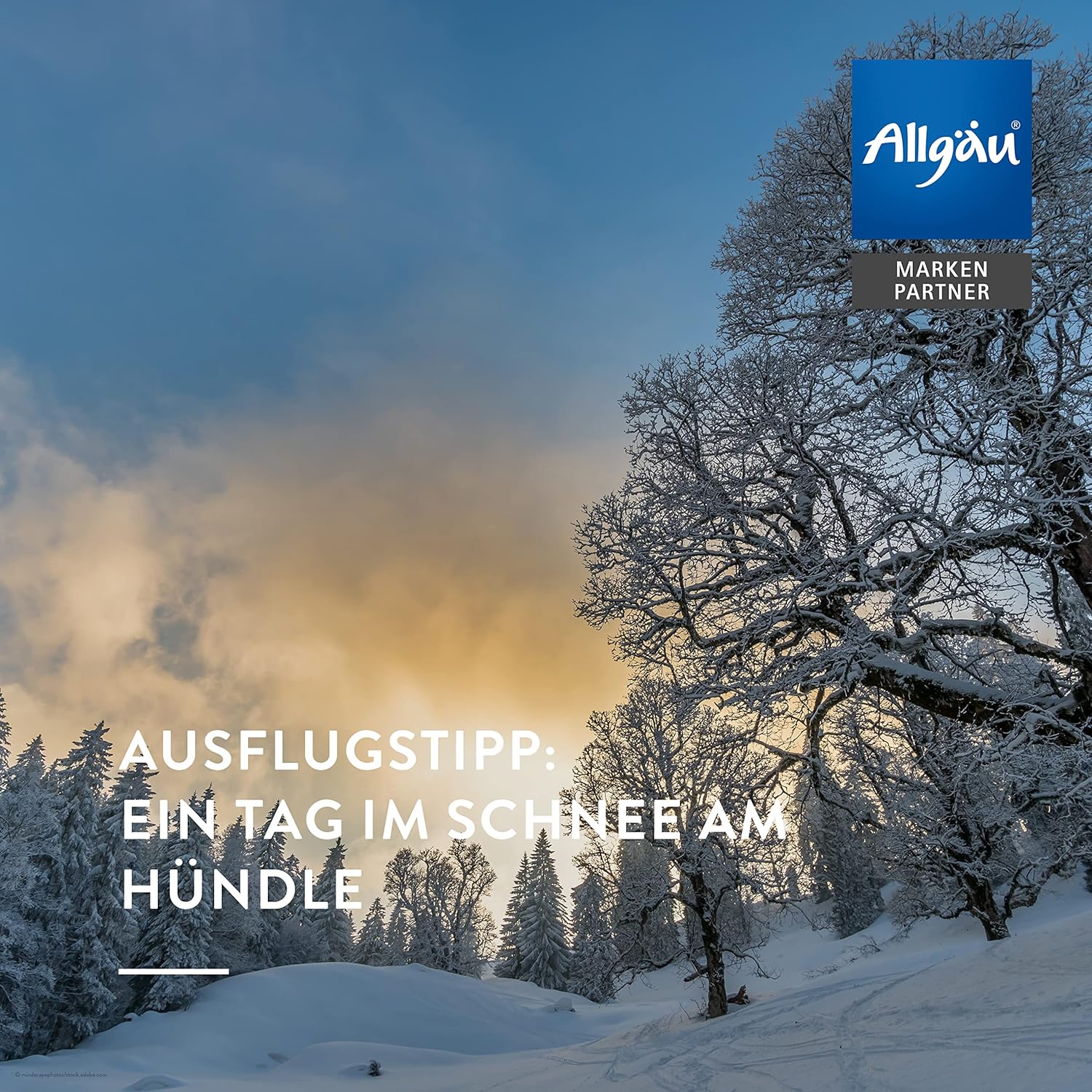 Detalle 1 de AllgäuQuelle® BIO-Badeöl „Allgäuer Atemwohl“ mit Bio-Ölen (Jojoba, Minze, Zeder, Cajeput) – 100 ml