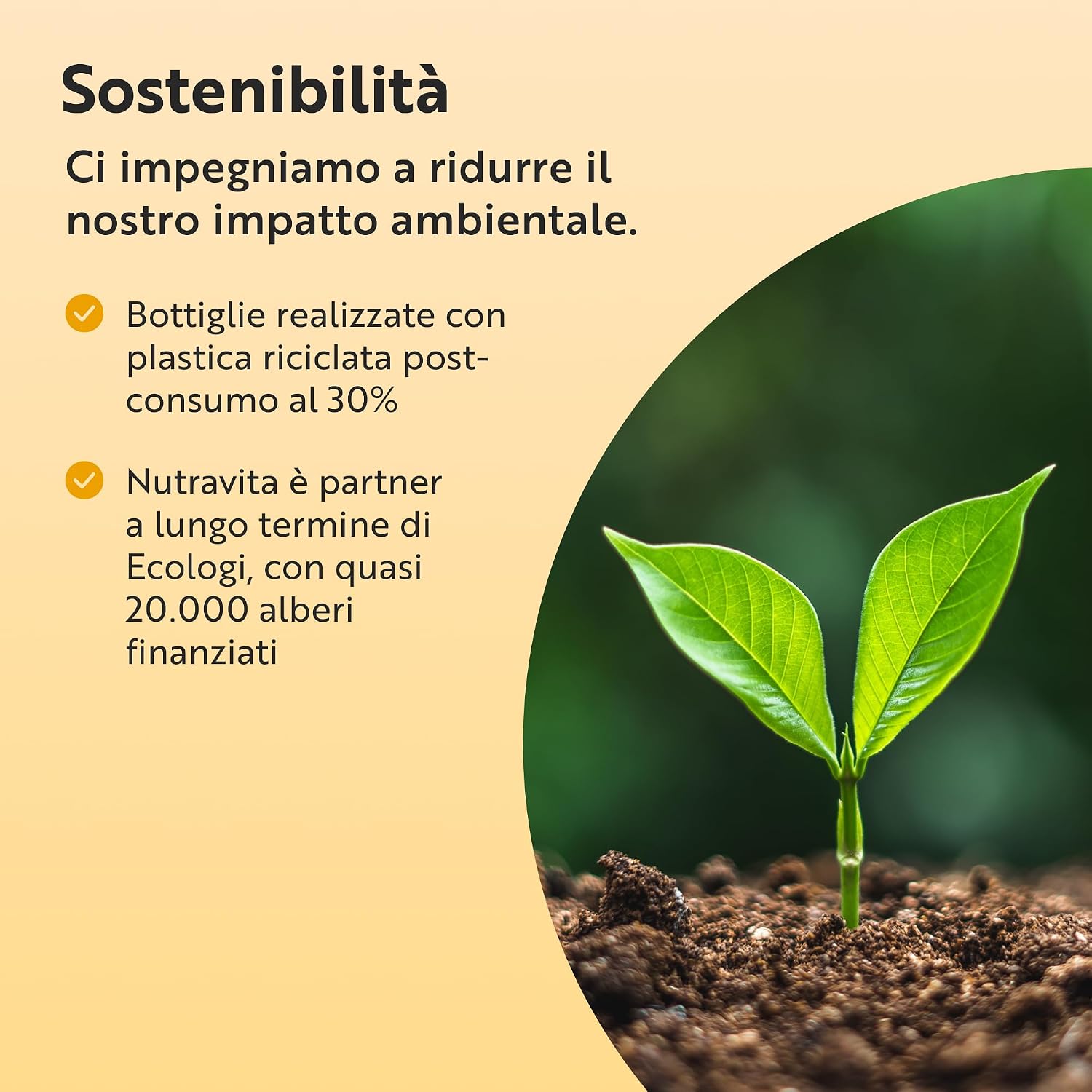 Thumbnail 6 de Nutravita Creatina Monoidrato 3000 mg con Magnesio 360 mg – 360 g, Polvere Vegana senza Aroma
