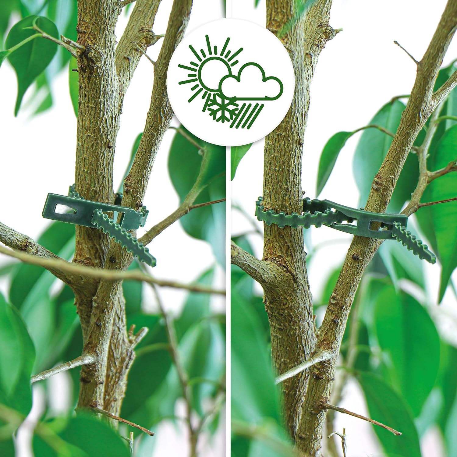 Thumbnail 1 de COM-FOUR® 200x: Raccoglitore per piante verde, 10 cm – 200 fascette riutilizzabili