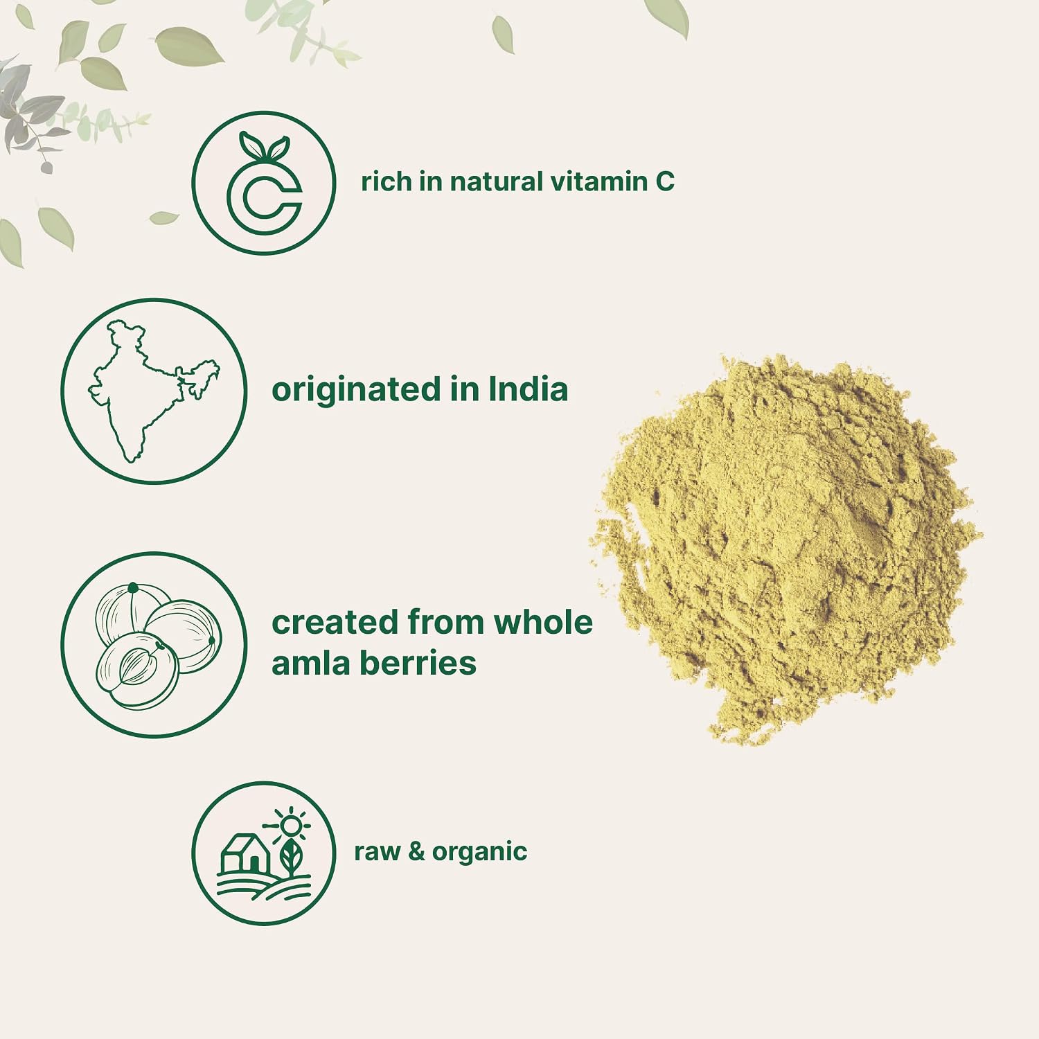 Detalle de Micro Ingredients Organic Amla Powder 32 oz