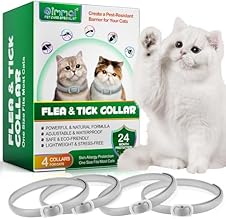 Collare antiparassitario 24 mesi per gatti 🐱