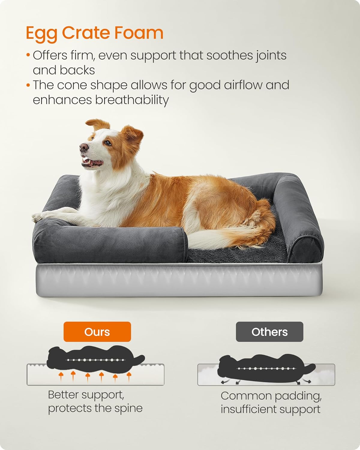 Detalle 1 de Feandrea Orthopedic Dog Bed