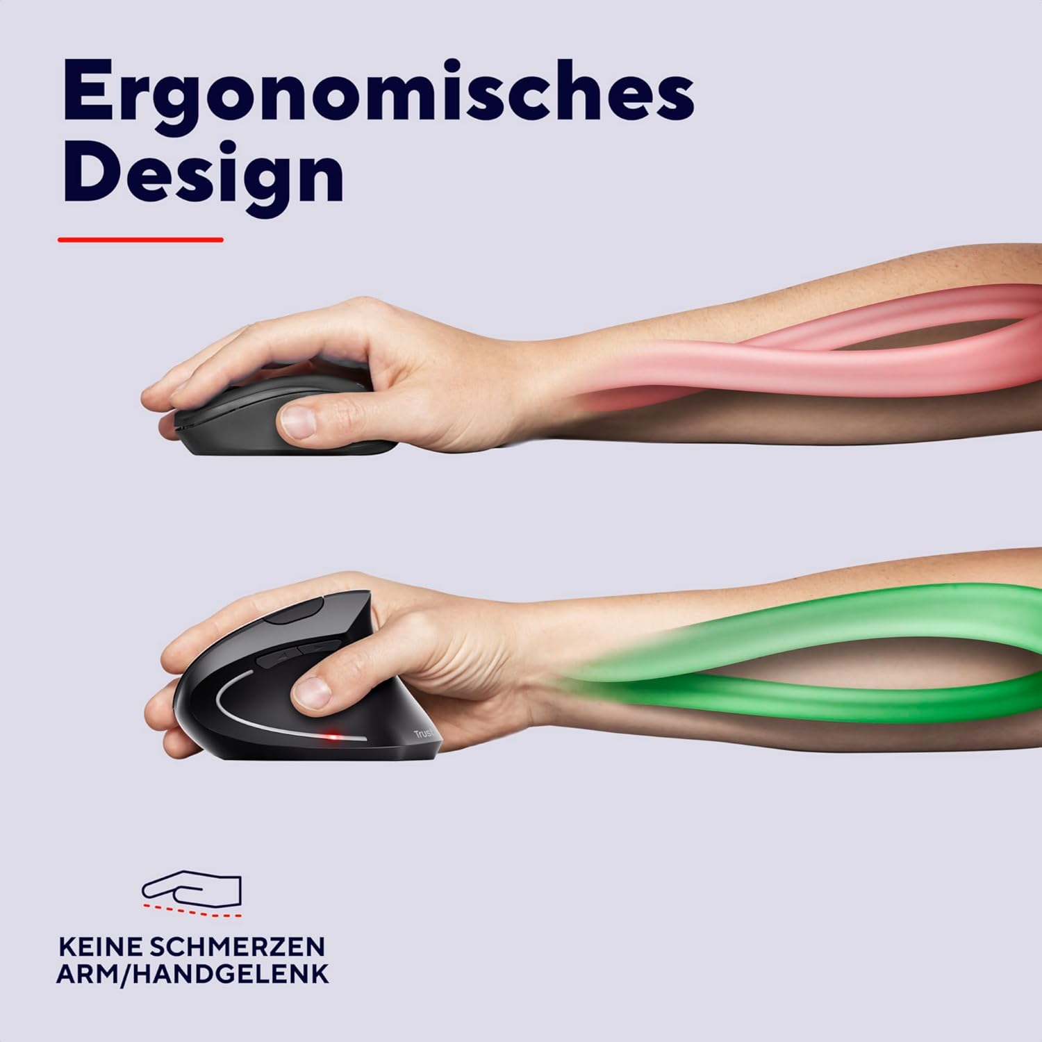 Detalle de Trust Verto 800-1600 DPI Ergonomische Maus đ±