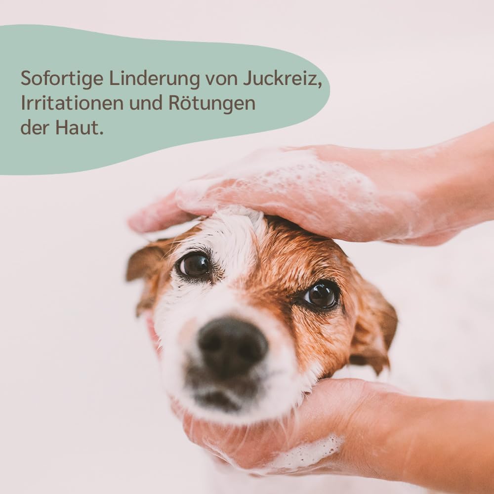 Detalle 2 de amusi Dermatitis-Hundeshampoo sensitiv 250 ml