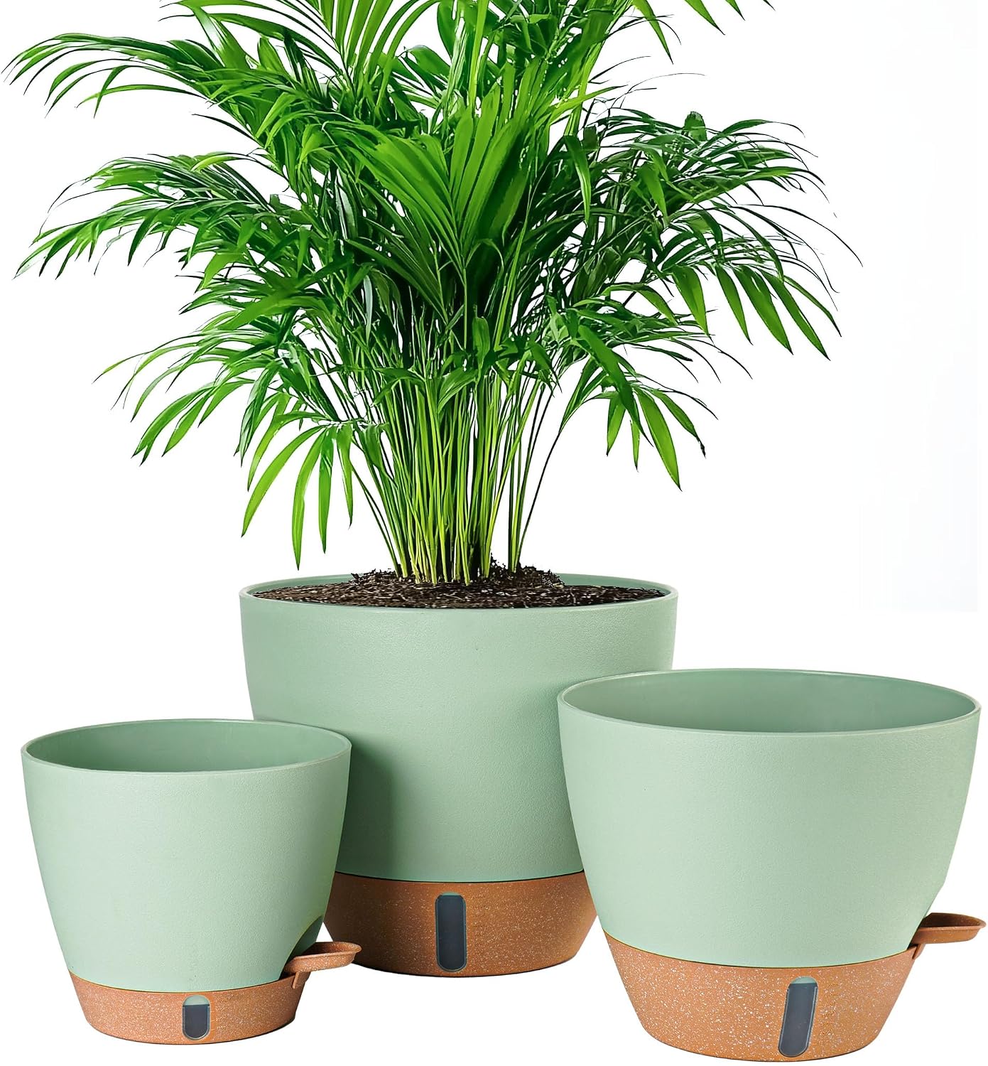 Detalle de Fielda 8/10/12-Inch Self-Watering Planters, Green Plastic Pots with Water-Level Indicator