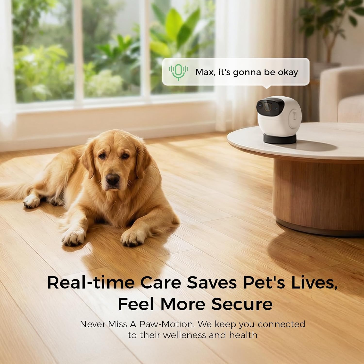 Detalle 2 de Pet camera treat dispenser, 3K