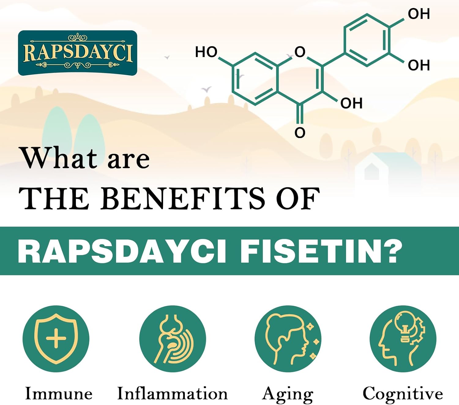 Detalle de Liposomale Fisetin und Quercetin 1200mg – Hochdosierte, liposomale Formulierung (60 Weichgelkapseln)