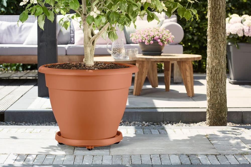 Detalle de Elho Planttaxi Universel 40 – Soucoupe pour intérieur et extérieur, Terre cuite (Ø 38,2 cm × H 6,5 cm)