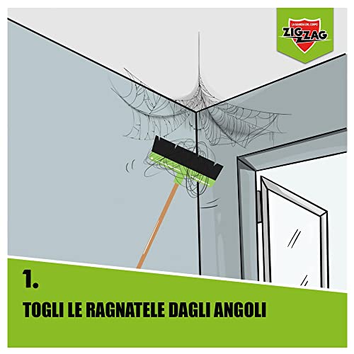 Detalle de ZIG-ZAG Magnatela Ragni e Ragnatele – Insetticida per Ragni e Ragnatele, alta residualità 40 giorni, formato 500 ml