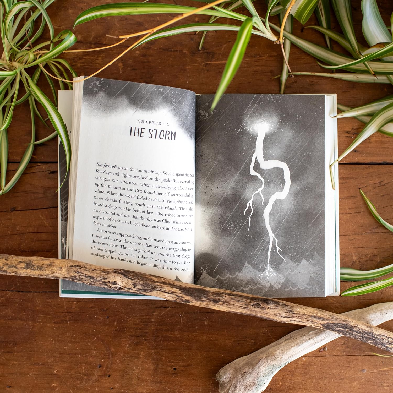 Detalle 2 de The Wild Robot (Volume 1) Hardcover Book by Peter Brown