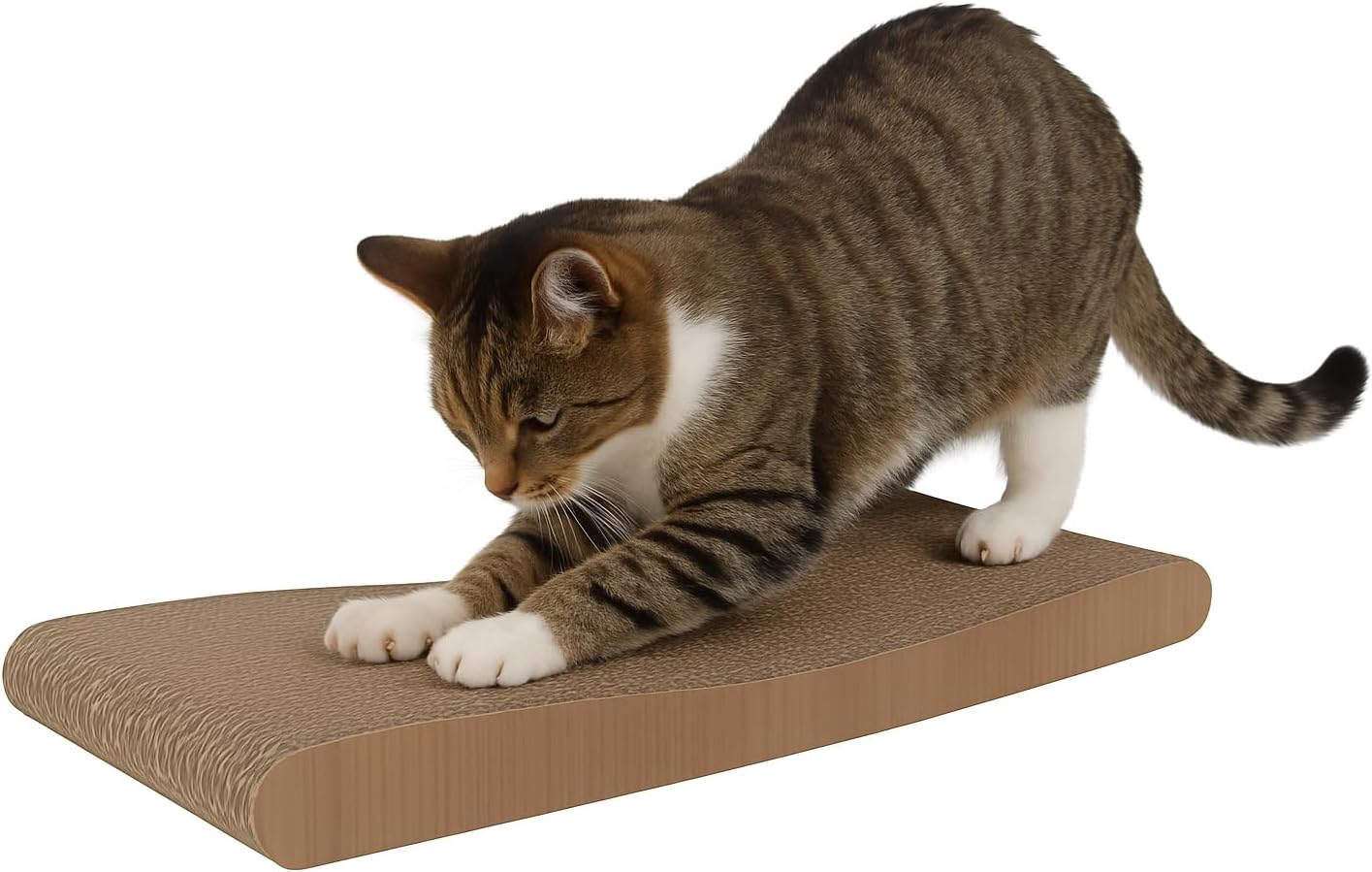 Thumbnail 5 de Katzenspielzeug Kratzspielzeug Beli Dreieck braun (20 x 24,5 x 24,5 cm) mit Katzenminze und 2 Glöckchenbällen – recycelbarer Karton