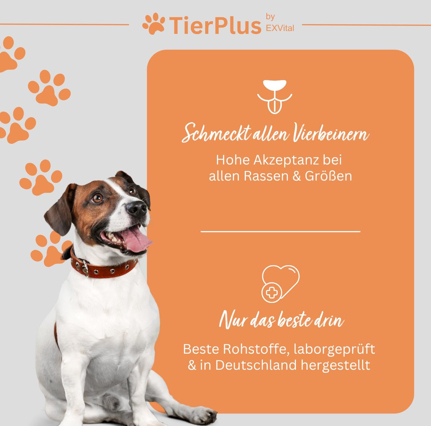Thumbnail 5 de TierPlus Barf Futteröl für Hunde & Pferde – 1000 ml