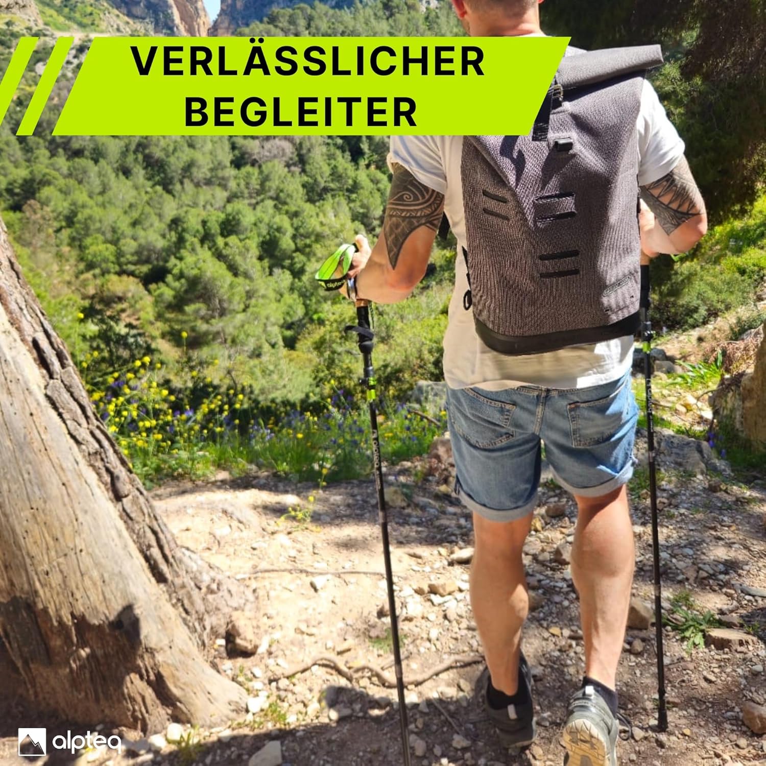 Thumbnail 2 de Alpteq Wanderstöcke faltbar Carbon oder Aluminium mit Korkgriff – leichte, kompakte Trekking- und Nordic-Walking-Stöcke