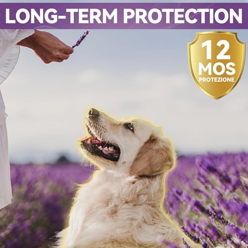 Detalle 2 de Collar antiparasitario para perros Inpumo: protección natural de 12 meses, impermeable y ajustable