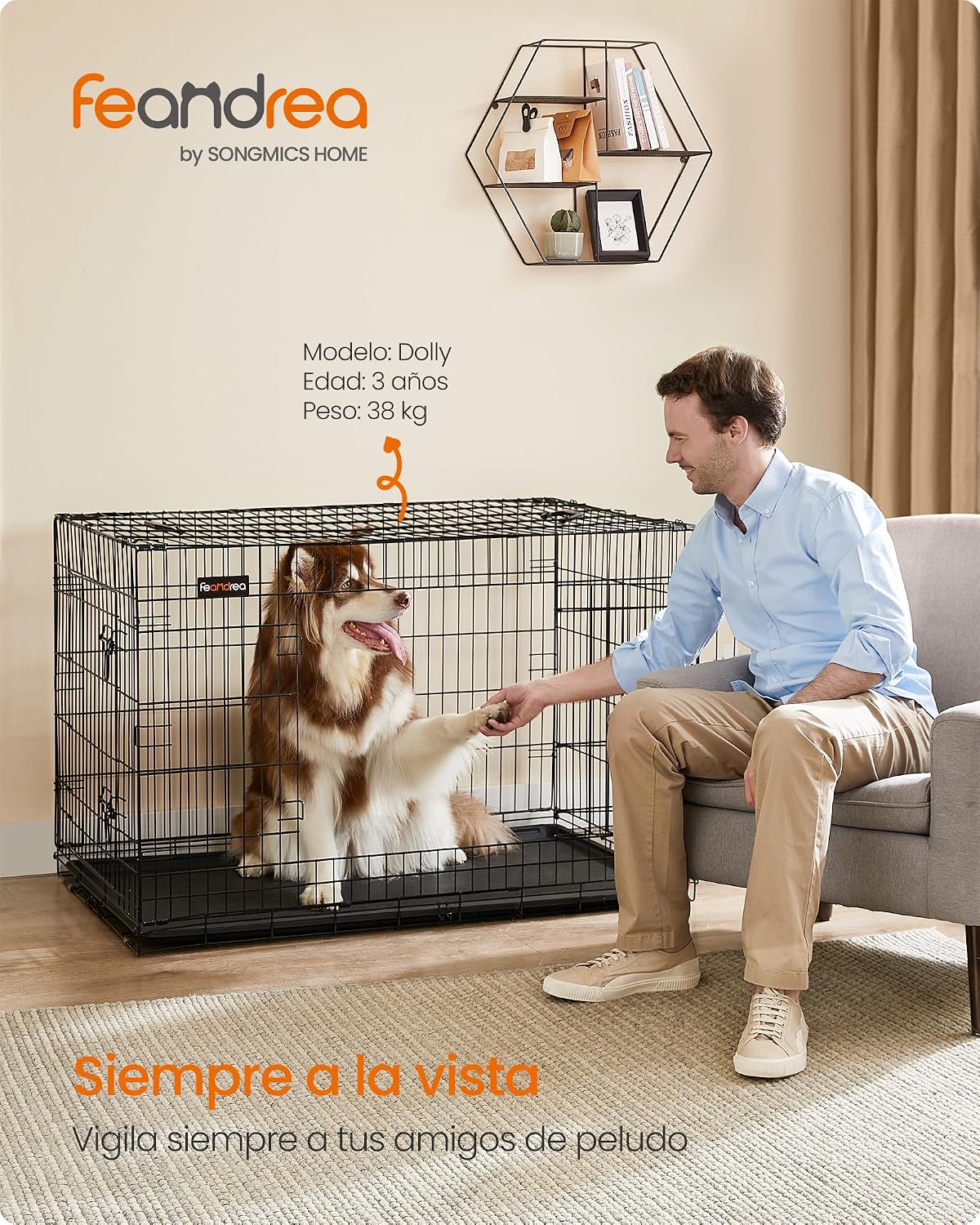 Detalle 2 de Feandrea Jaula para perros plegable XXL con 2 puertas y bandeja extraíble (PPD48H)