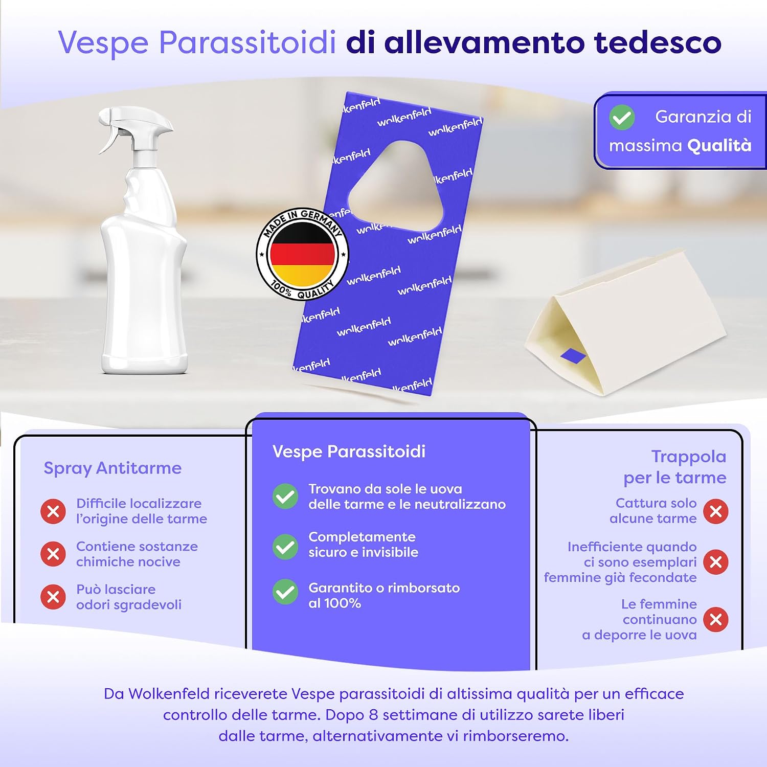 Detalle 2 de Wolkenfeld Vespe parassitoidi contro le tarme alimentari – 4 carte, 1 mq di azione naturale
