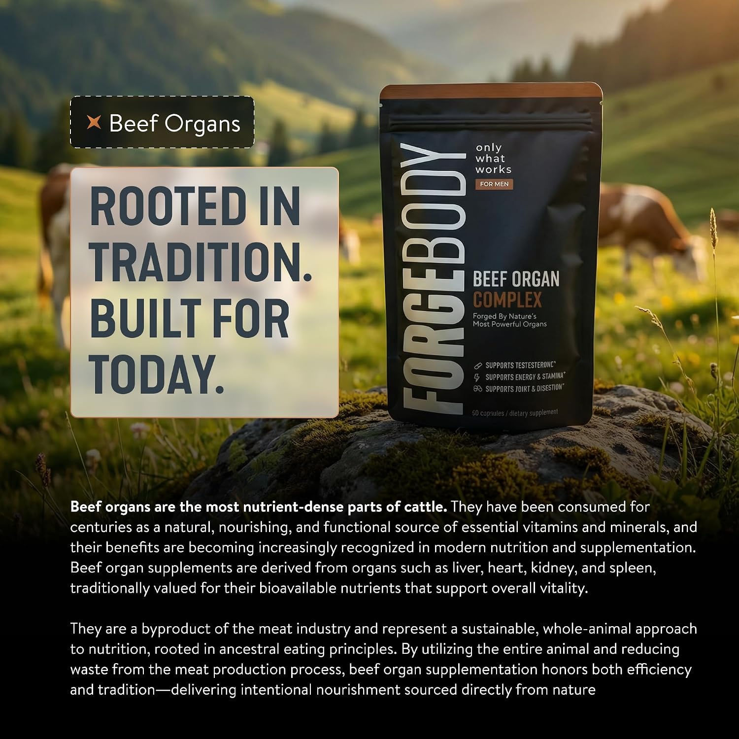 Thumbnail 6 de Forgebody Beef Organ Supplement, 1-Month Supply