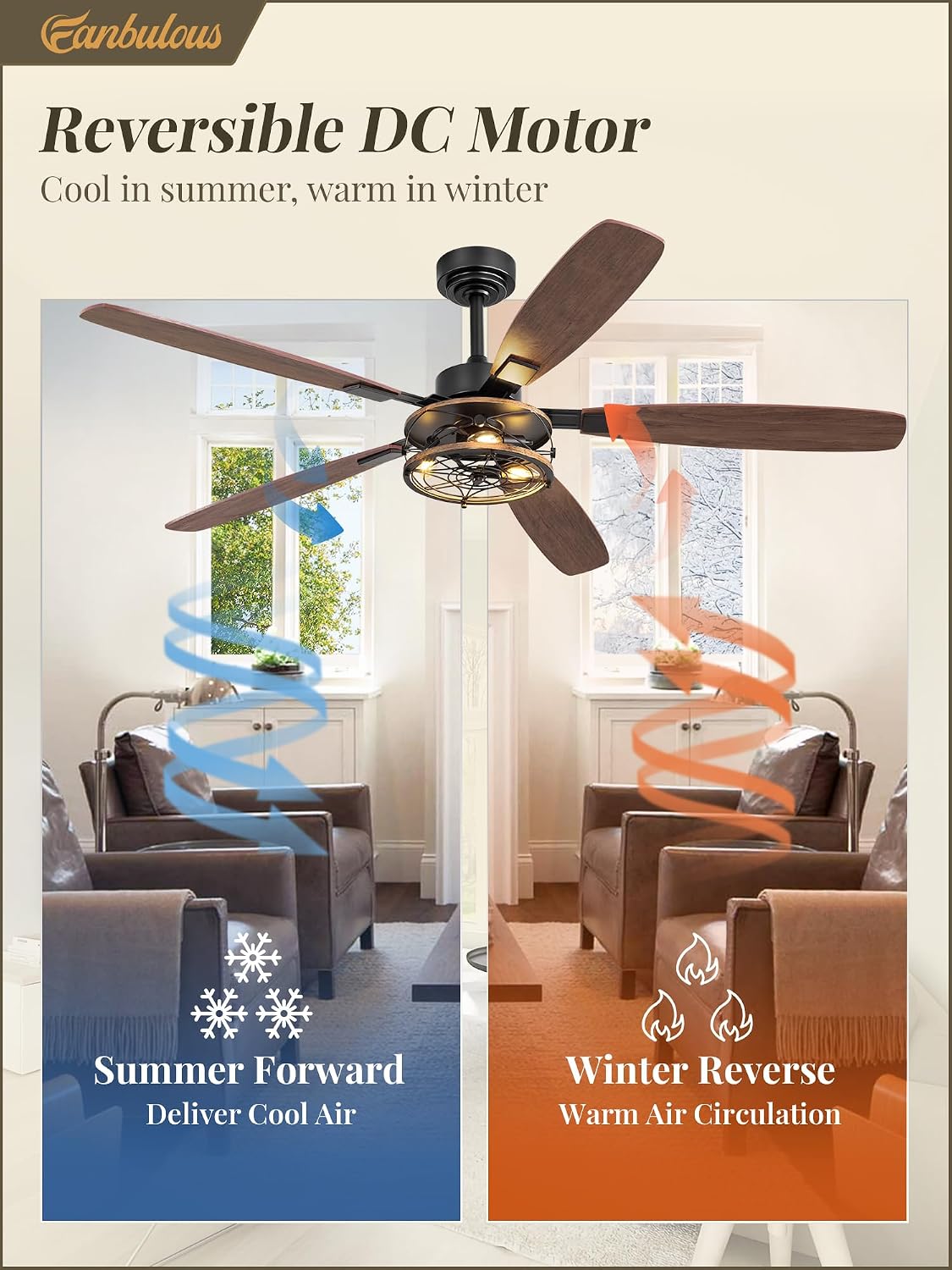 Detalle 2 de Fanbulous Ceiling Fan with Light, 60-Inch