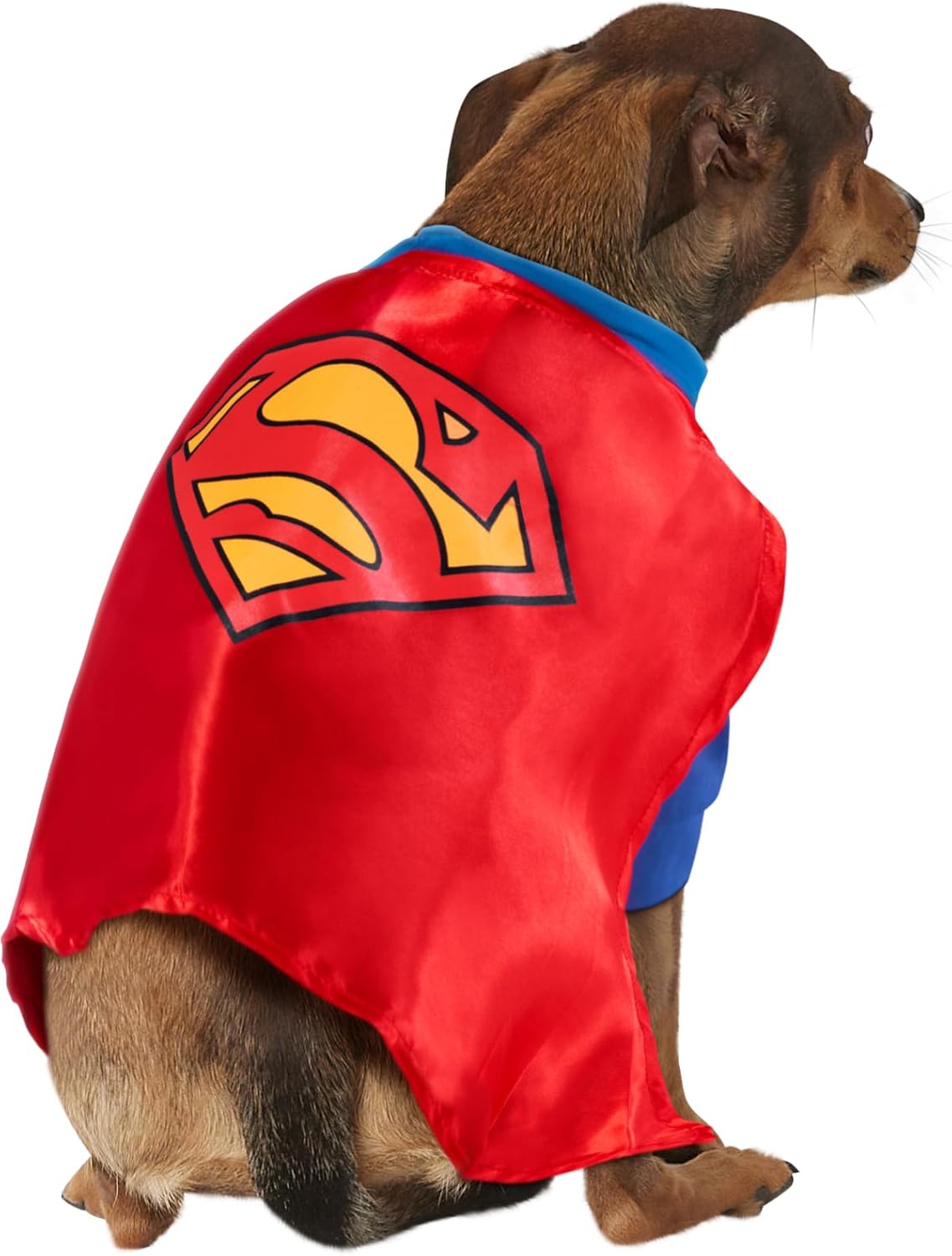 Thumbnail 1 de Rubie s Superman dog costume XXXL