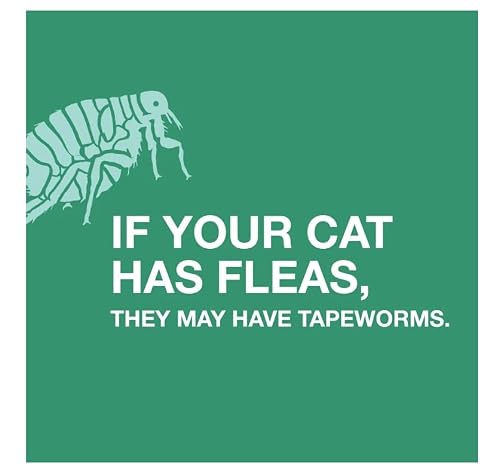 Detalle de Elanco Tapeworm Dewormer (praziquantel tablets) for Cats and Kittens 6 Weeks and Older, 3-count